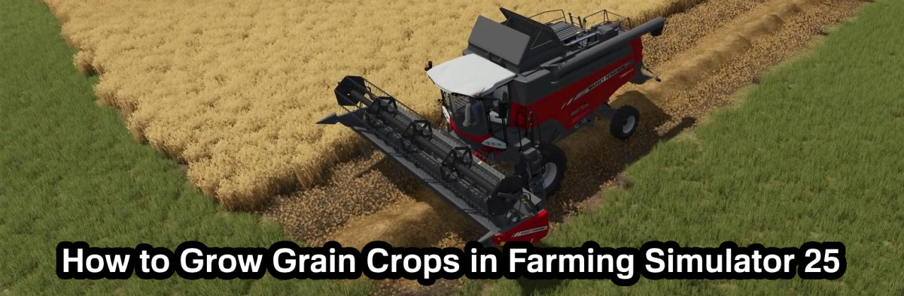 How to Grow Grain Crops in Farming Simulator 25